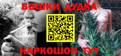 индика Кандалакша