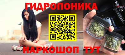 индика Кандалакша