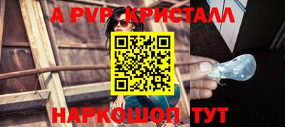 соль ск Кингисепп
