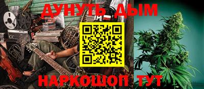 индика Кандалакша