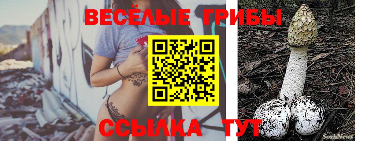 Бутурлиновка  Псилоцибиновые грибы Psilocybe  Вход с VPN 